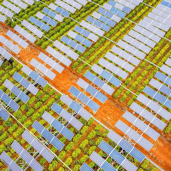 Fei Yang / CFOTO / Contributor / Getty