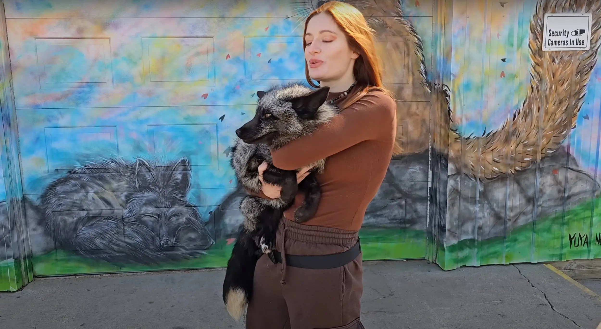 Raines' husband has vowed to continue her work (YouTube / Save A Fox)