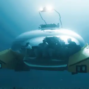 Triton Submarines/YouTube