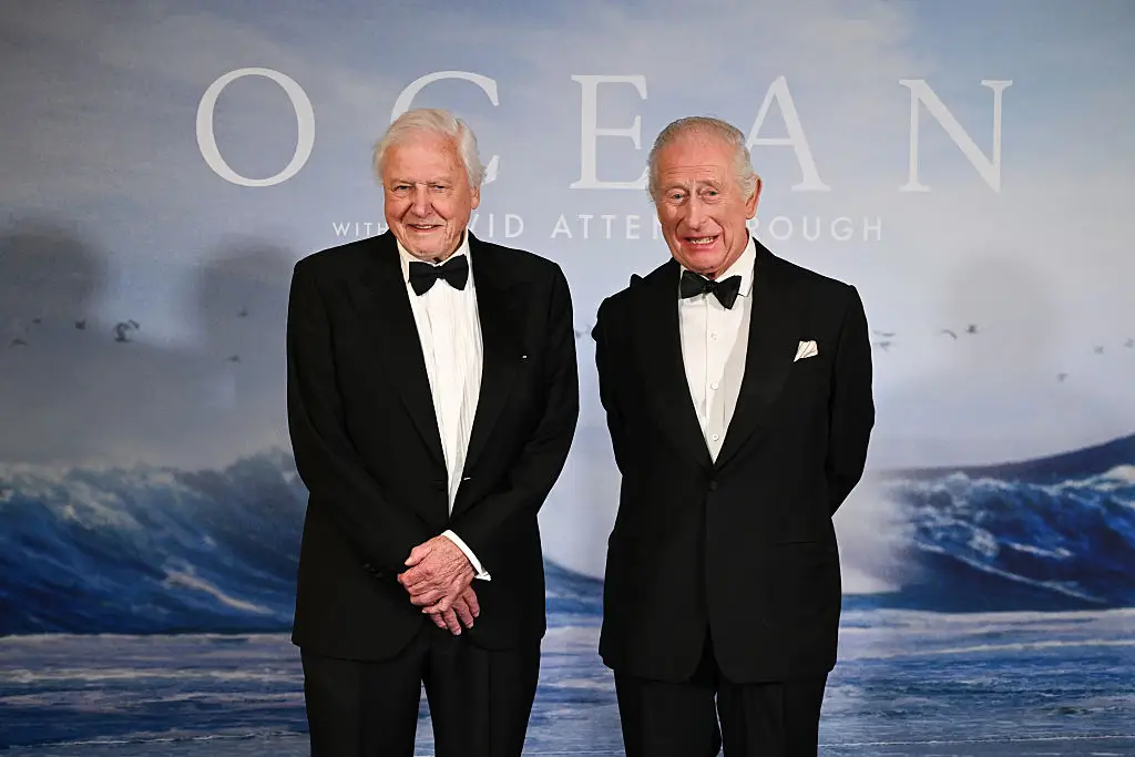 David Attenborough has issued a warned to humanity (Kate Green/Getty Images for National Geographic)