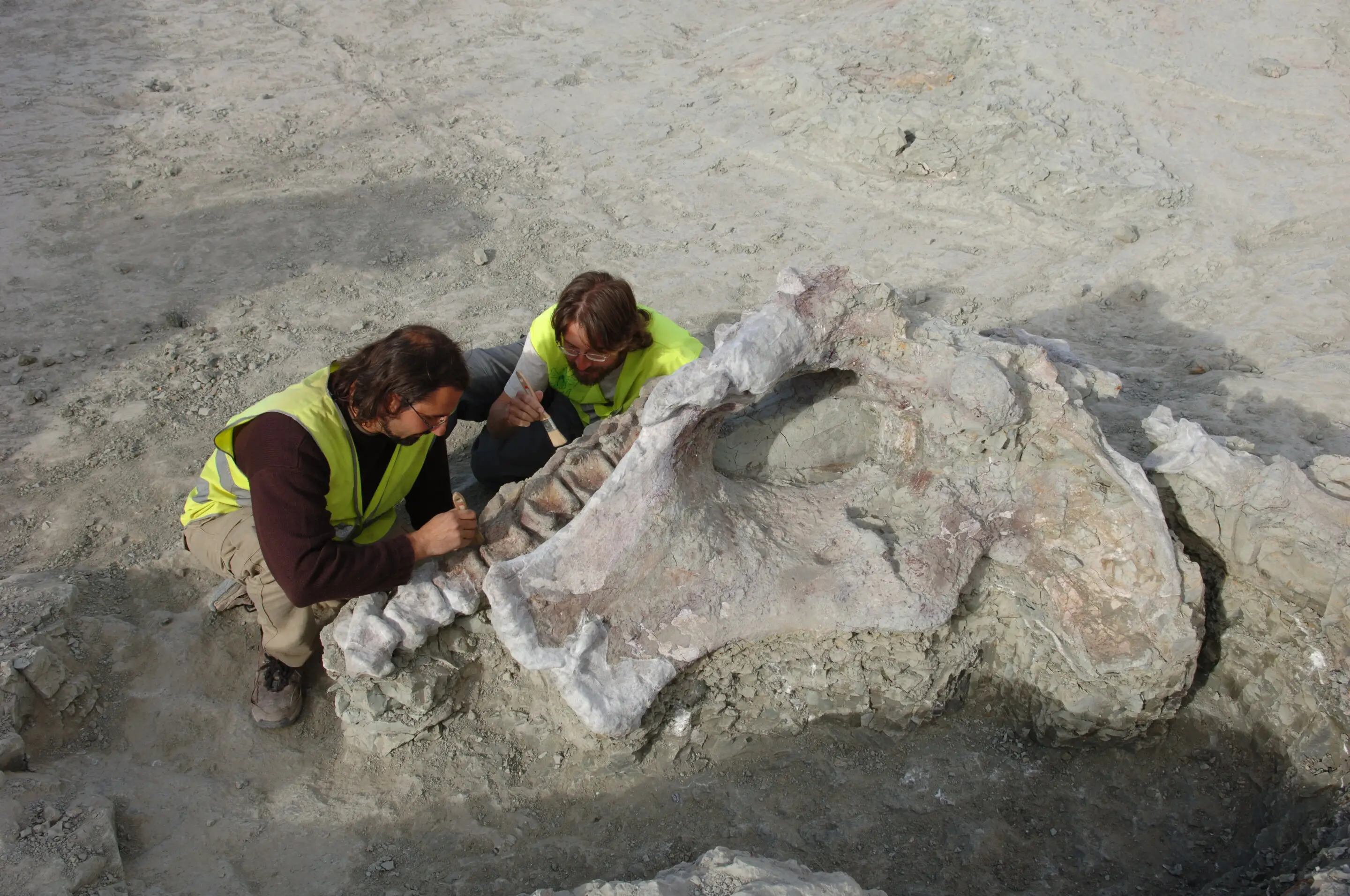 Researchers uncovered the dinosaur skeleton in Spain (GBE-UNED)