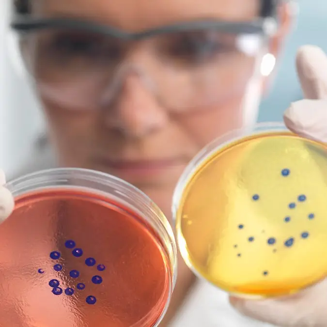 Rafe Swan/Getty Images