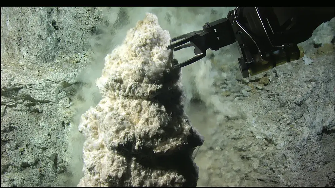 Beehive-like structures have been found in the 'Lost City' (Deborah Kelly/University of Washington)