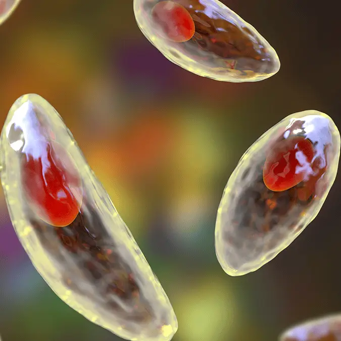 KATERYNA KON/SCIENCE PHOTO LIBRARY / Getty