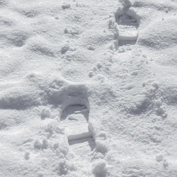 Evgeniia Siiankovskaia via Getty