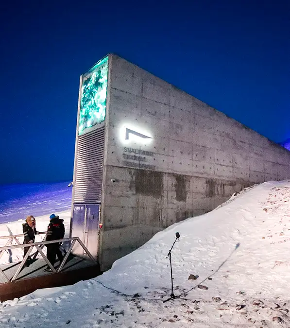 LISE ASERUD/Contributor / Getty