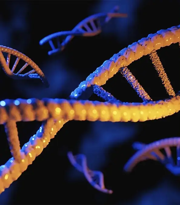 Ekaterina Goncharova / Getty