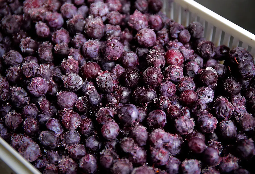 Frozen blueberries are among the 35 different foods currently recalled this year alone (Wang HE/Getty Images)