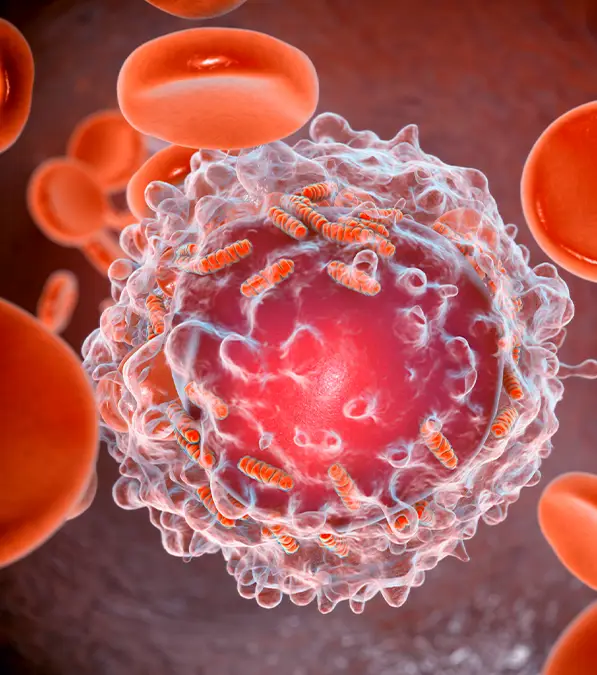 The result produced 99% success rate of destroying cancer cells / KATERYNA KON/SCIENCE PHOTO LIBRARY/Getty