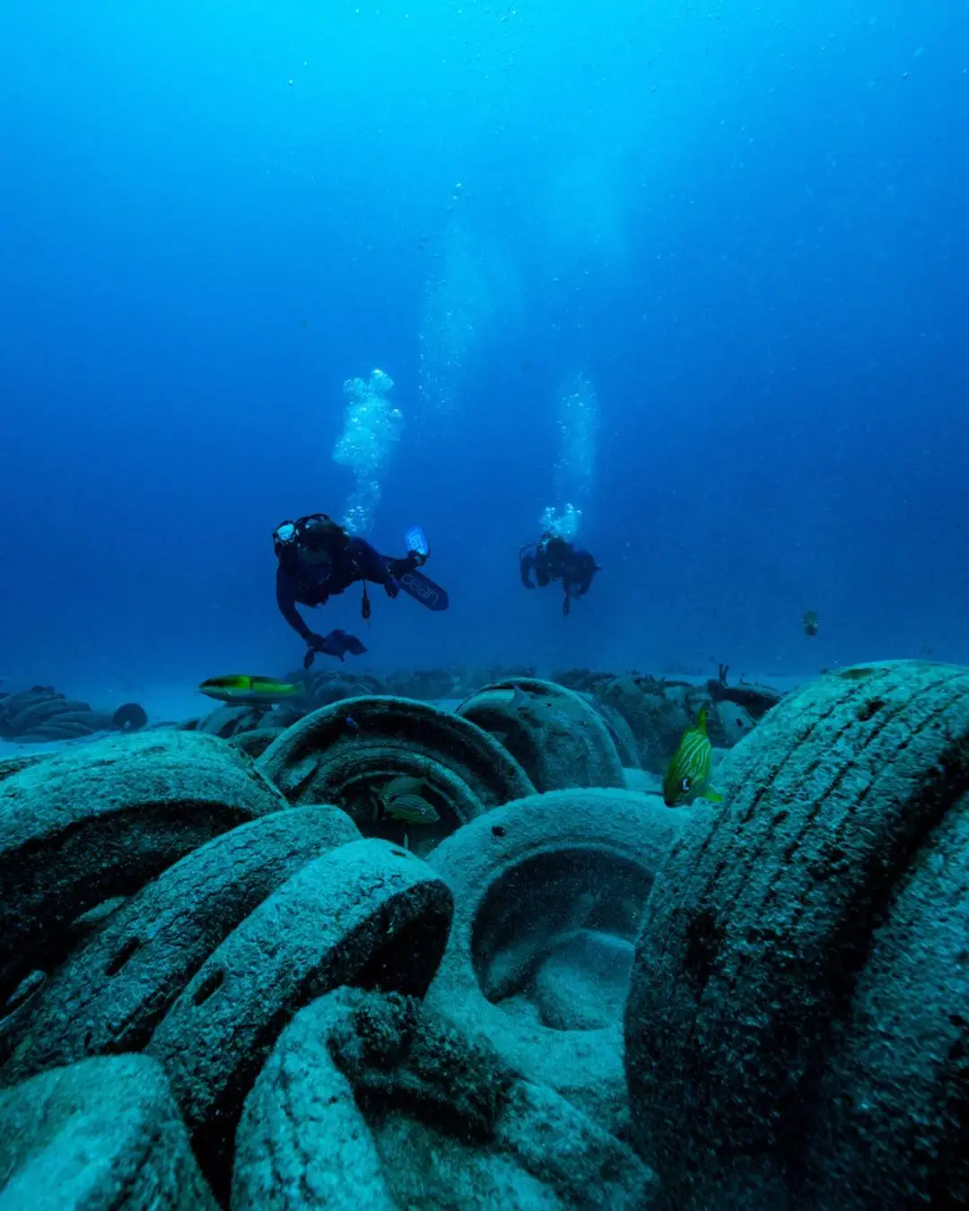 The Osborne Reef has been an ocean eyesore since 1972 (4ocean)