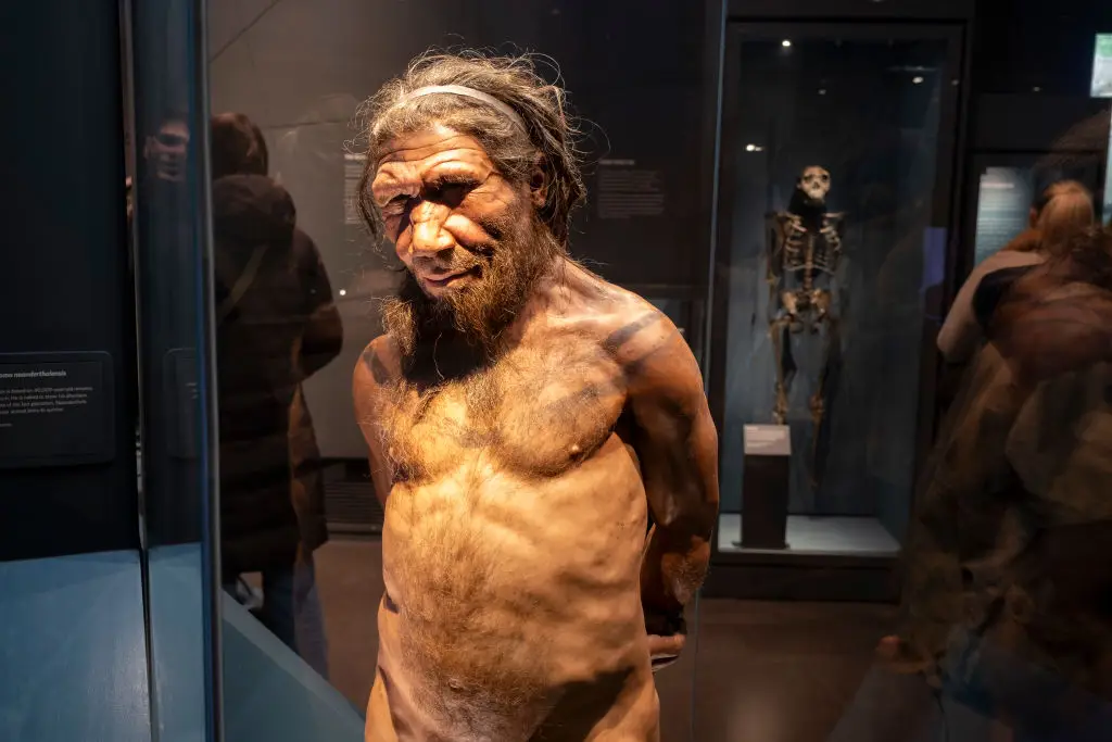Bae's discovery could be the key that unlocks a greater understanding of ancient human history (Mike Kemp/In Pictures via Getty Images)