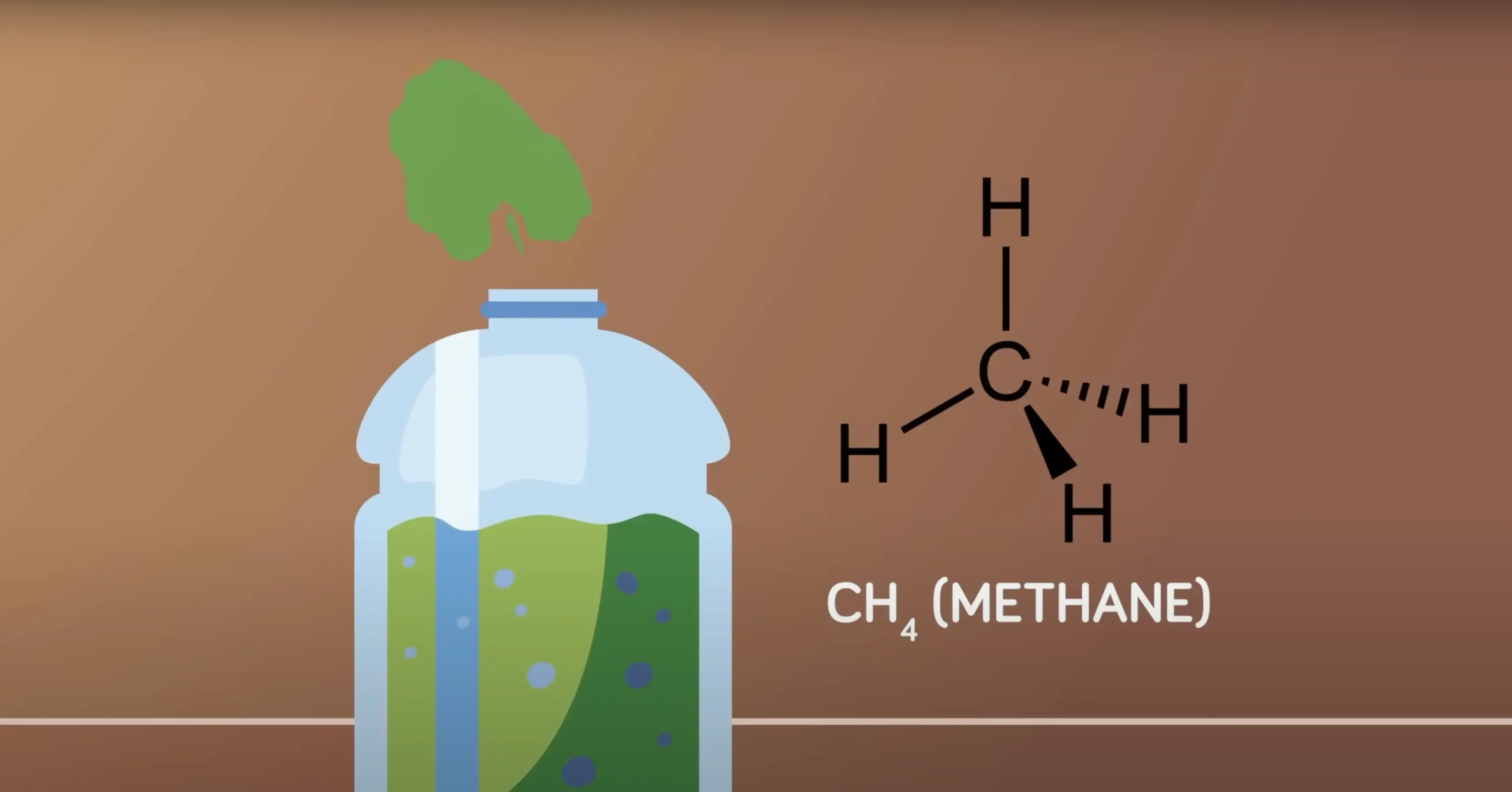 One drug is made with human feces (YouTube/@TheInfographicsShow)