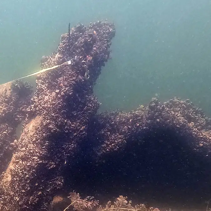 WHS/Maritime Preservation and Archaeology Program