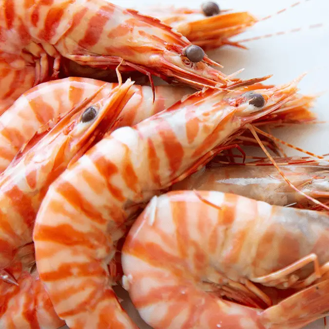 Jennifer A Smith via Getty