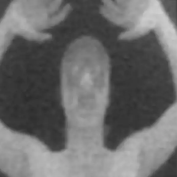 erlucho/ Getty / X / @‌greendaylover44