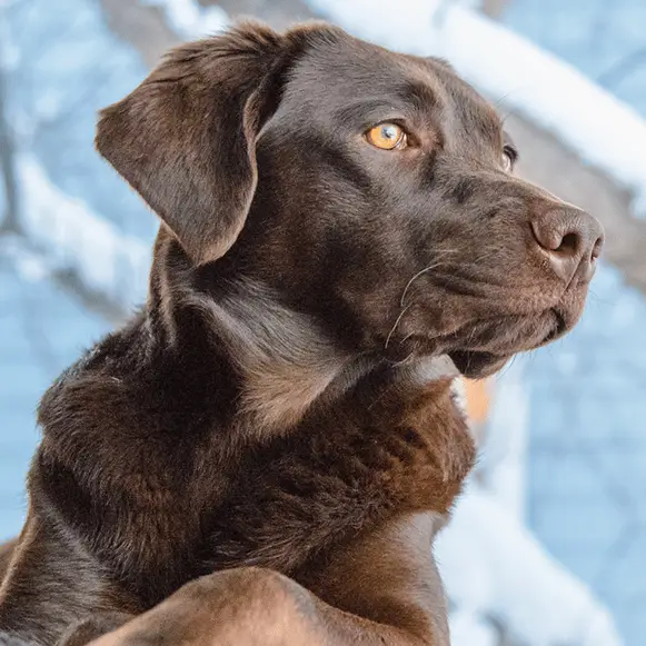 Credit: Jason Waltman / TEK IMAGE/SCIENCE PHOTO LIBRARY / Getty Images
