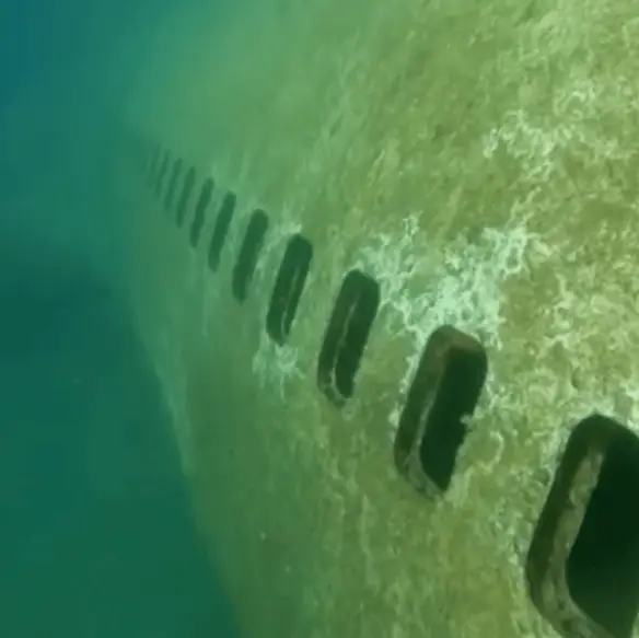 Instagram/@deepbluedivecenter / Getty/JIWEI QU