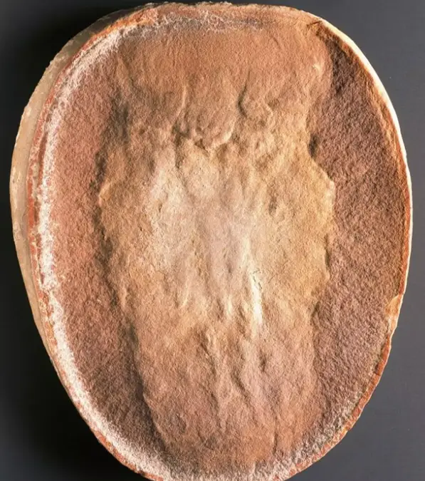 DEA/G. CIGOLINI/Contributor/Getty