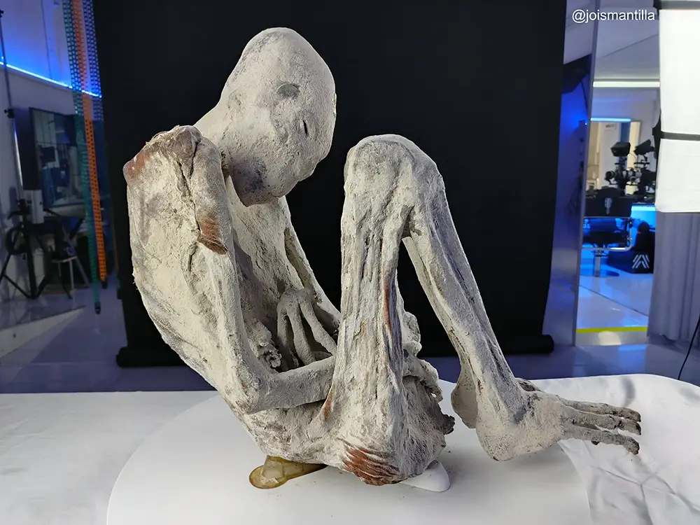 The named tridactyl named 'Montserrat' (@joismantilla/Tridactyls.org)