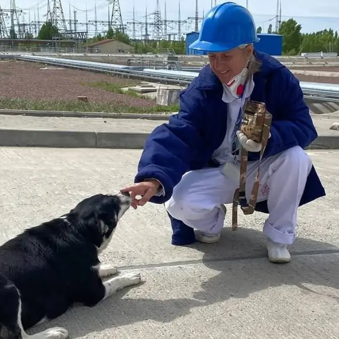 Instagram / Dogs of Chernobyl