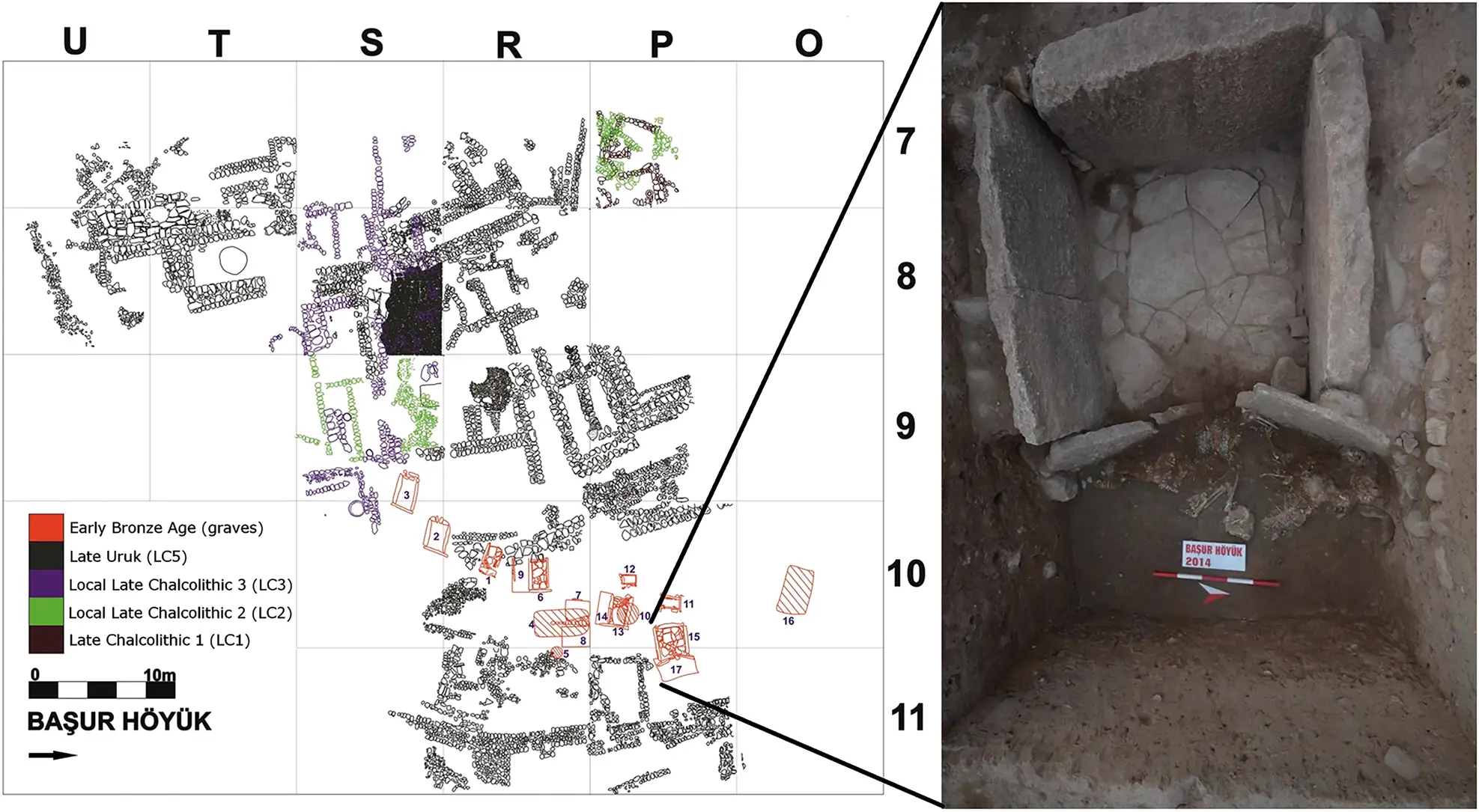 Skeletons located within the tombs have challenged the previously understood notion of royal ritualistic sacrifice ((Başur Höyük Research Project/Cambridge Archaeological Journal 2025)