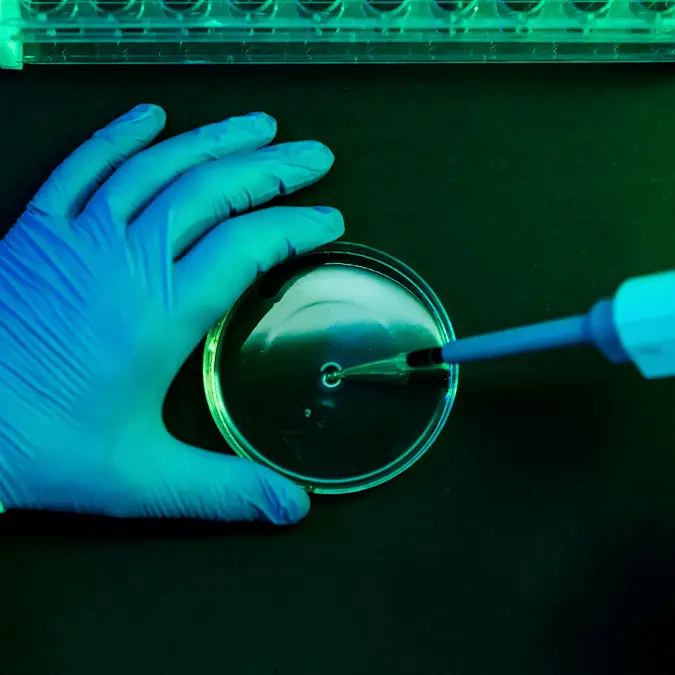 DBenitostock via Getty