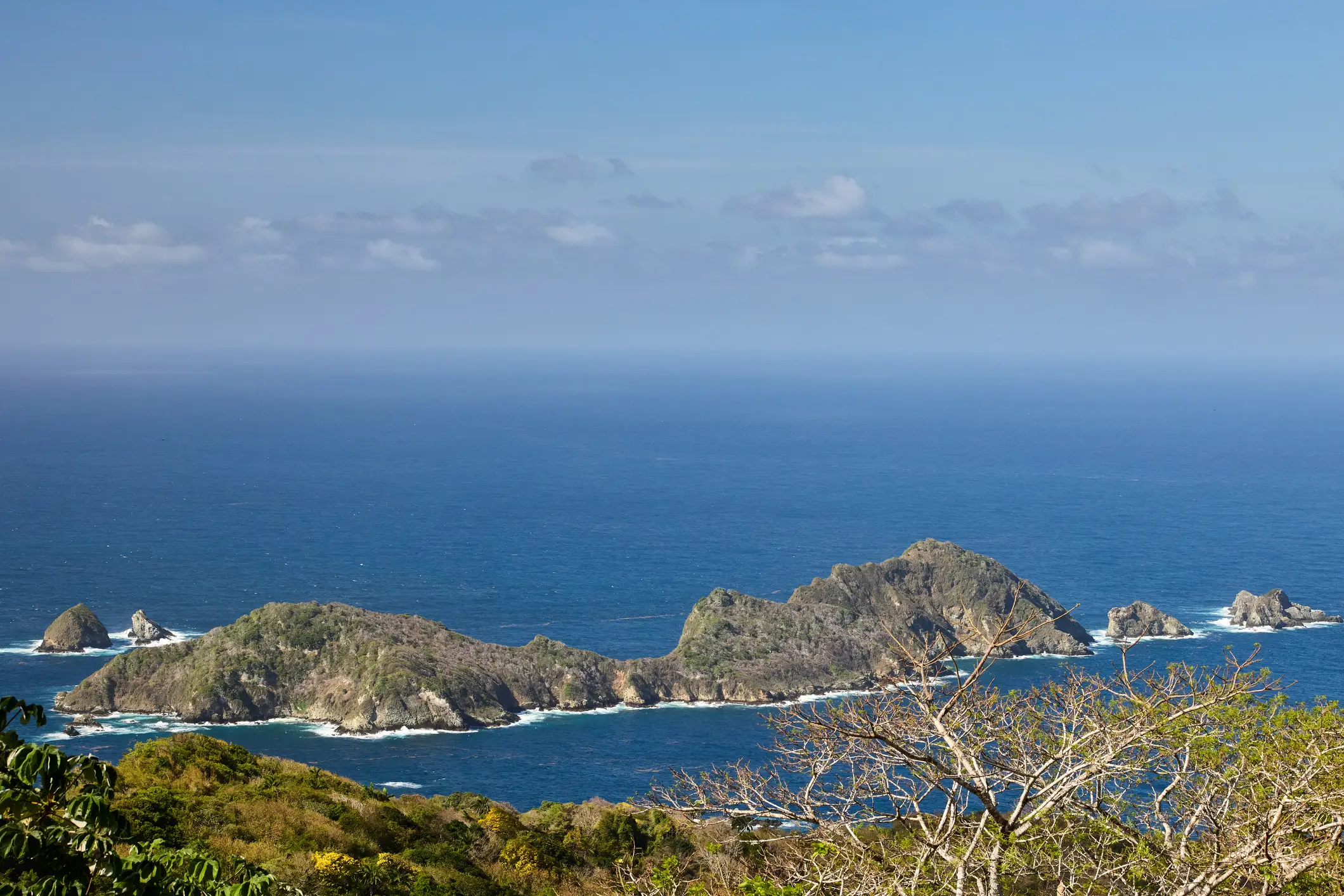 The Sargasso Sea supports an incredibly diverse community of marine life (Mark Meredith/Getty)