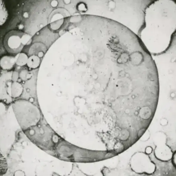 John W. Draper/Wikimedia Commons / Jose A. Bernat Bacete/Getty