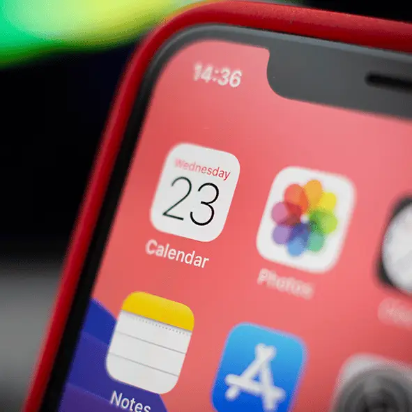 NurPhoto / Contributor / MStudioImages / Getty