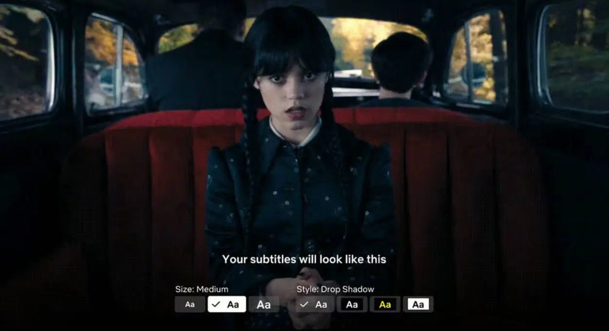 Netflix's new feature is a win for subtitle supporters (Netflix)