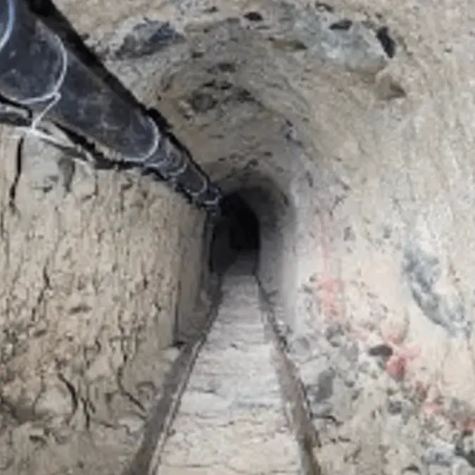 U.S Customs and Border Protection 