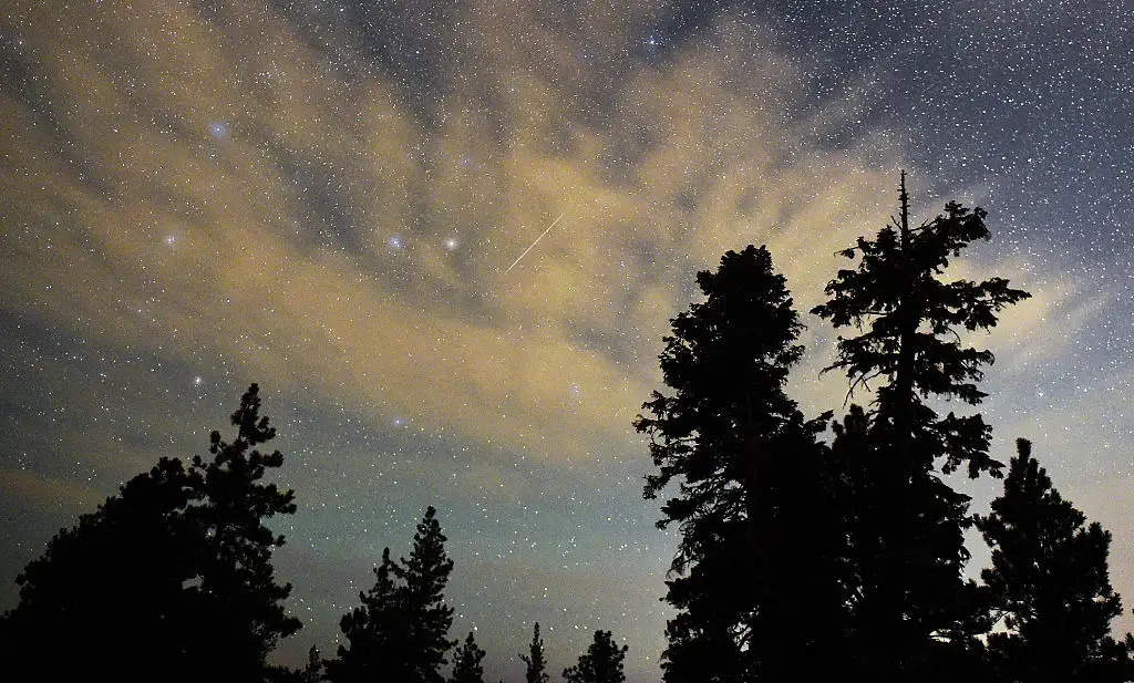 The June Bootids meteor shower will be visible this week, with astronomers loving its unpredictability (Ethan Miller/Getty Images)