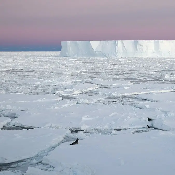Jeff Miller/Getty Images