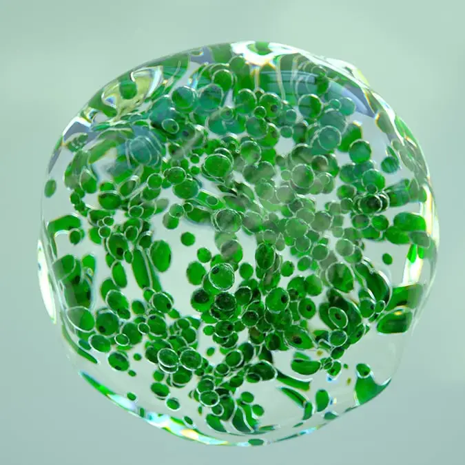 Andriy Onufriyenko/Getty Images