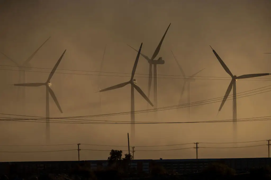 Dust storms, strong winds, and floods can cause the fungus to spread throughout the affected areas (David McNew/Getty Images)