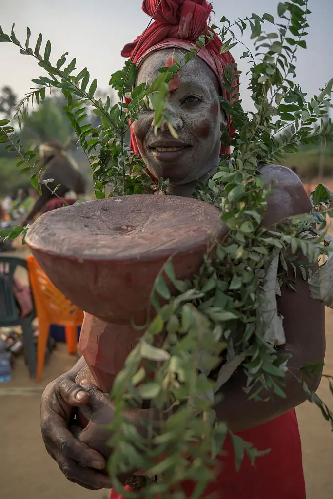 Ibogaine is derived from a plant in Africa and used in ritualistic ceremonies (Jorge Fernández / Contributor / Getty)