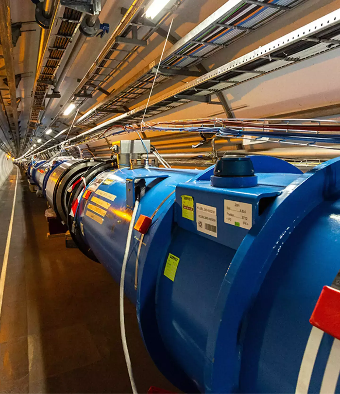 The massive particle accelerator make distinctive noises (Ronald Patrick/Stringer via Getty)