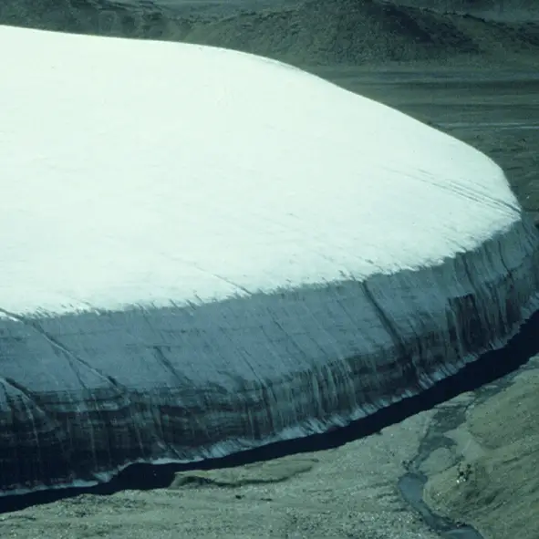 Over 1,700 ancient viruses found lurking deep inside glacier in never seen before discovery