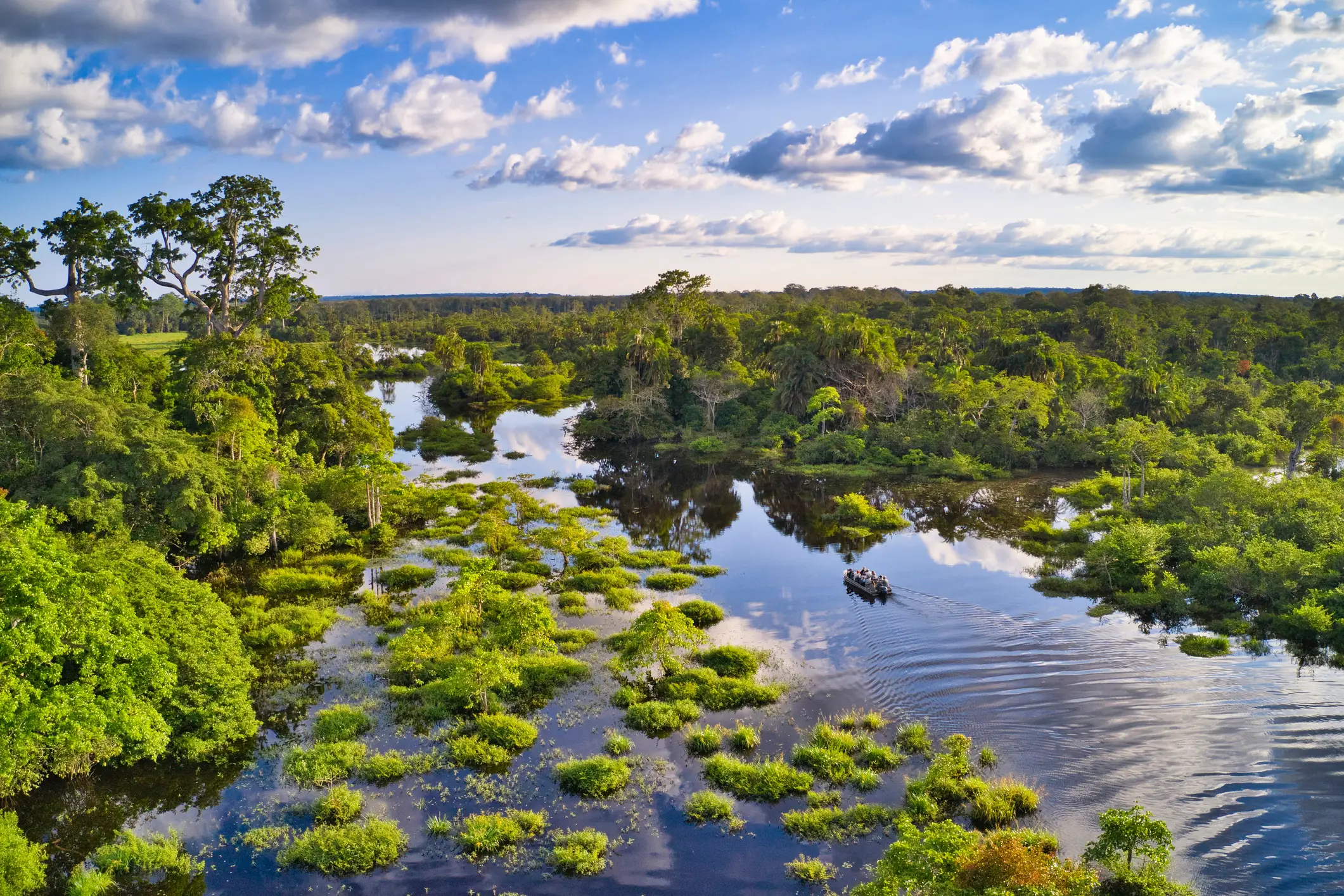 Ash Dykes' team have lost contact with him in the Congo Basin (guenterguni/Getty Images)