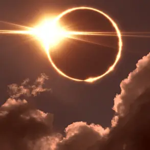 Pitris/Steven Whitelaw/Getty