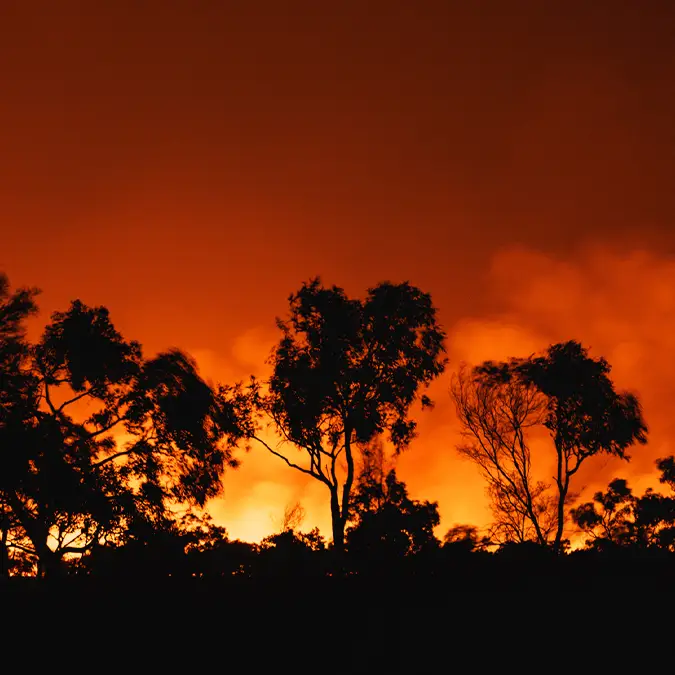 Abstract Aerial Art / Getty