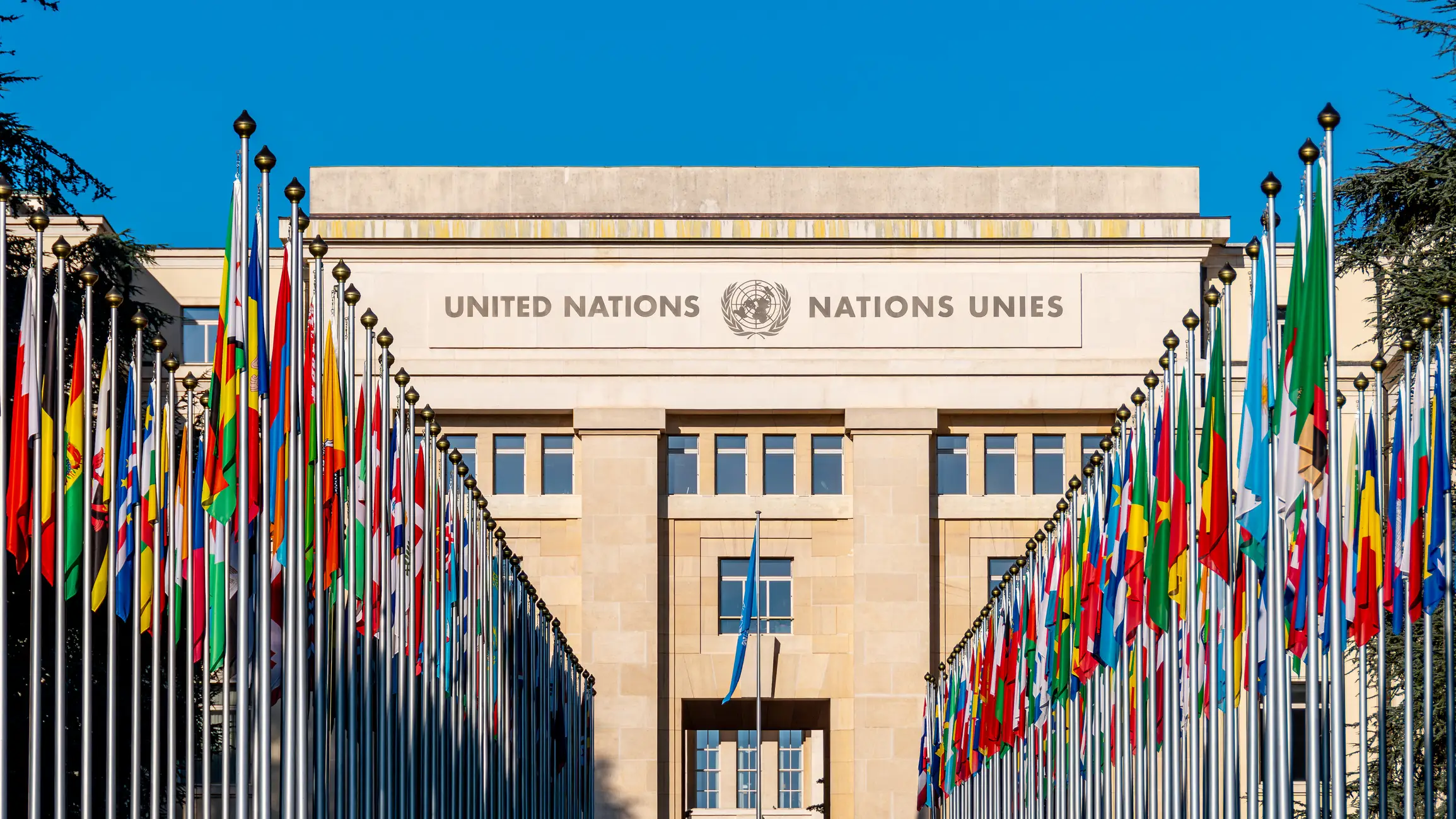 The UN has issued a warning over the legality of livestreaming the execution (HJBC/Getty Images)