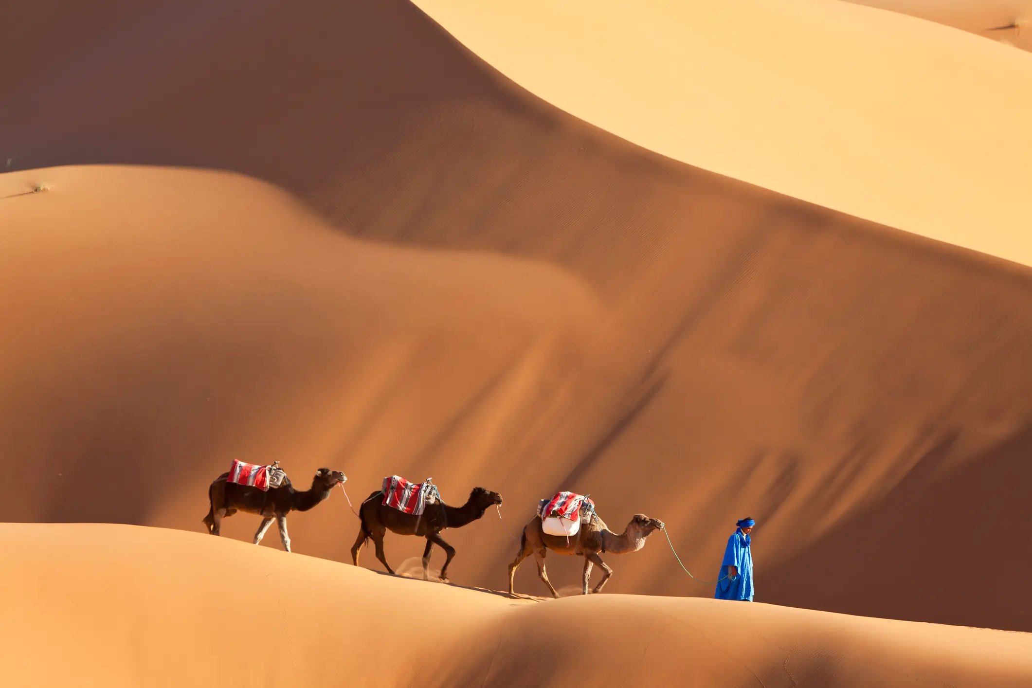 It's been half a century since the Sahara desert has seen this amount of rainfall. (Peter Adams via Getty images.)