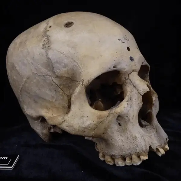 Tondini, Isidro, Camarós, 2024 /  Grant Faint / Getty