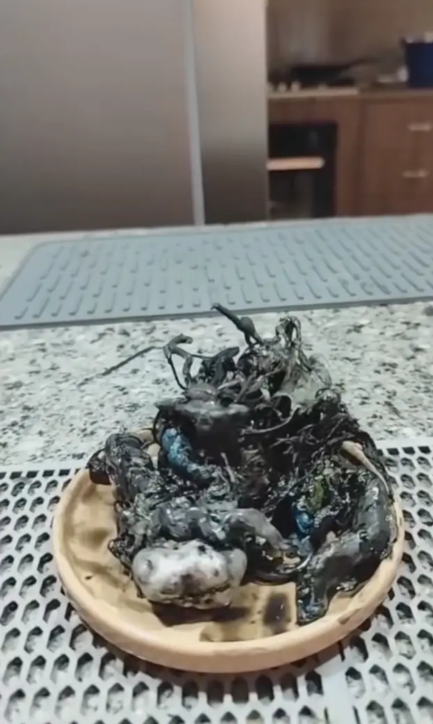 One expert believes that the alien is merely made from polydimethylsiloxane (TikTok/kinpanama)