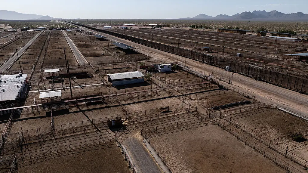 Billions of dollars of economic damage could be triggered if screwworms spread from Mexico to the United States (Paul Ratje/Bloomberg via Getty Images)