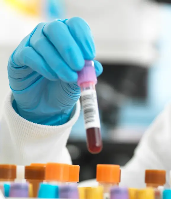 Many have raised ethical concerns over the bizarre hybrid (Westend61 / Getty)