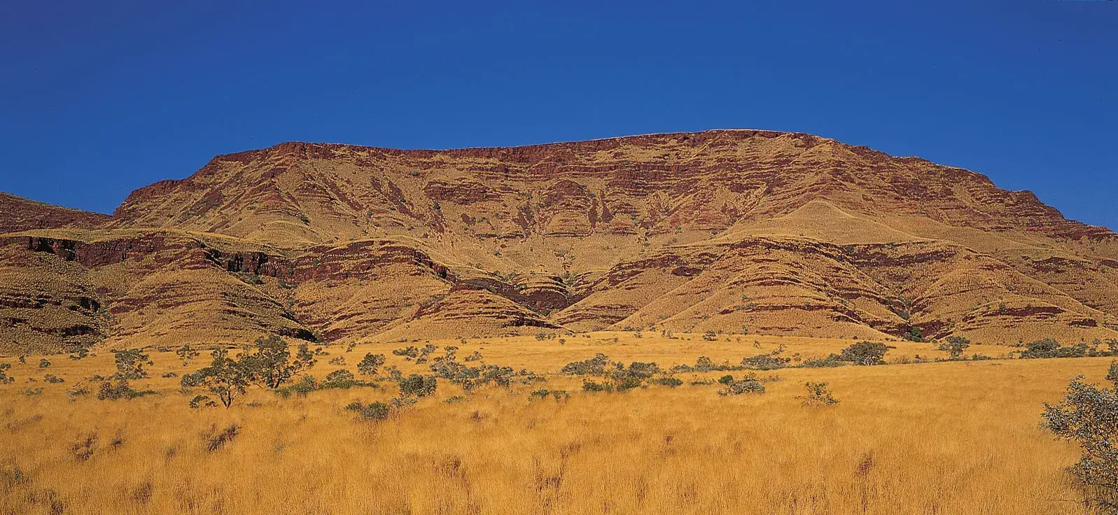 The Hamersley Province holds a significant amount of money (Richard Woldendorp/Photo Index)