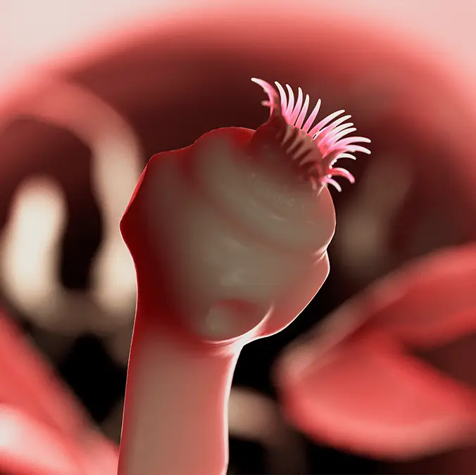 SCIEPRO/SCIENCE PHOTO LIBRARY via Getty