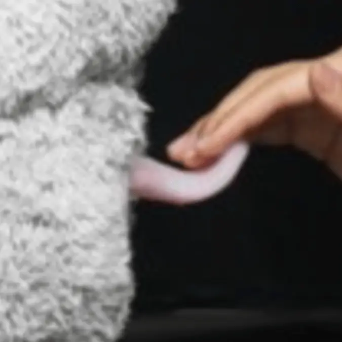 The University of Electro-Communications / ACM Digital Library